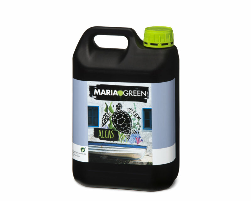 MARIA GREEN ALGAS - Imagen 2