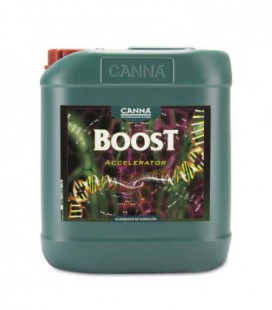 boost-accelerator-5l-canna