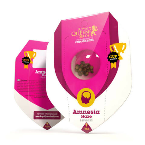 amnesia-haze