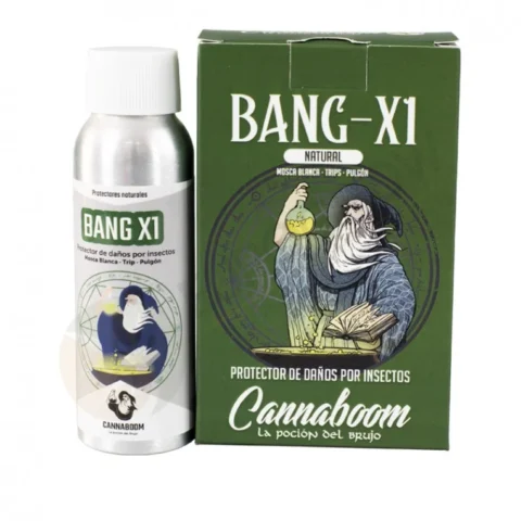 bang-x1