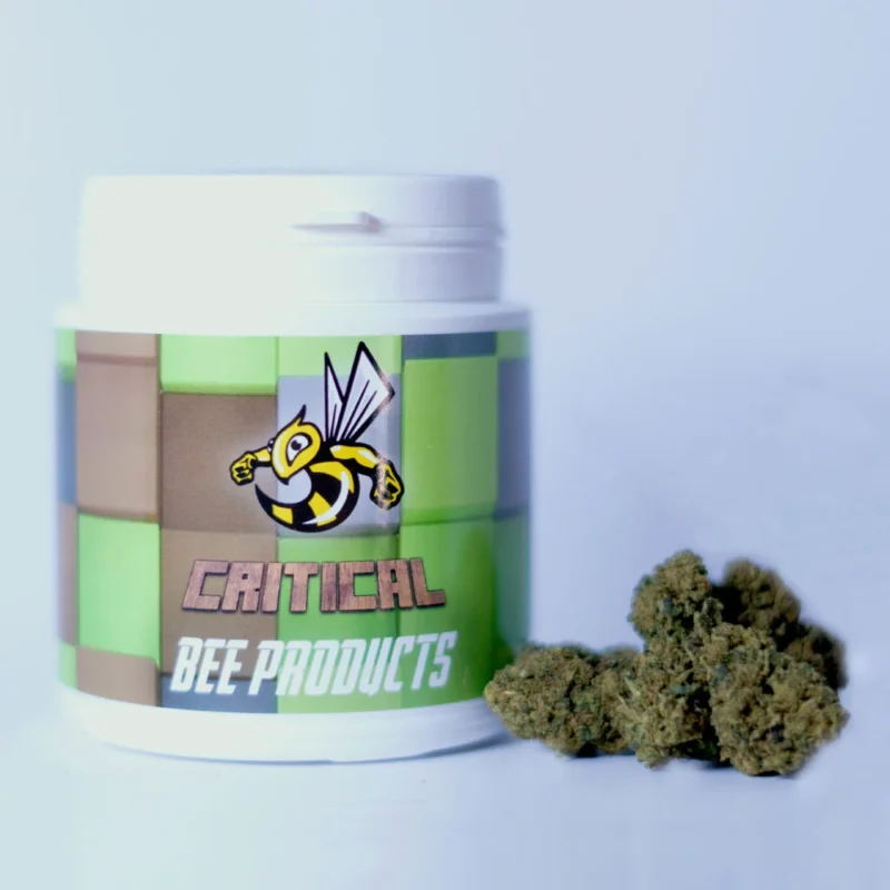 CRITICAL CBD bee products