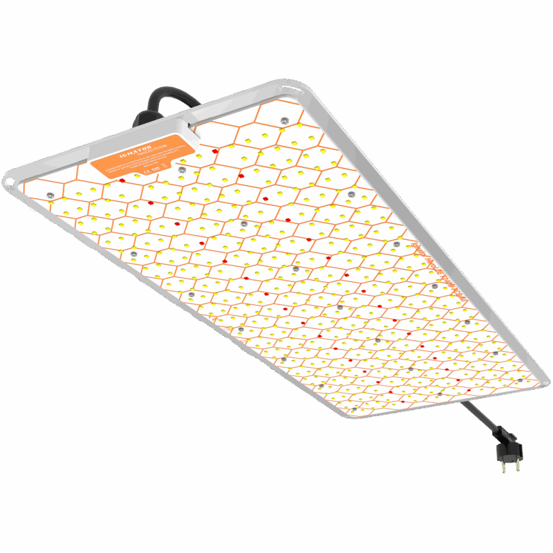 Ignator HeroLed F240W LED
